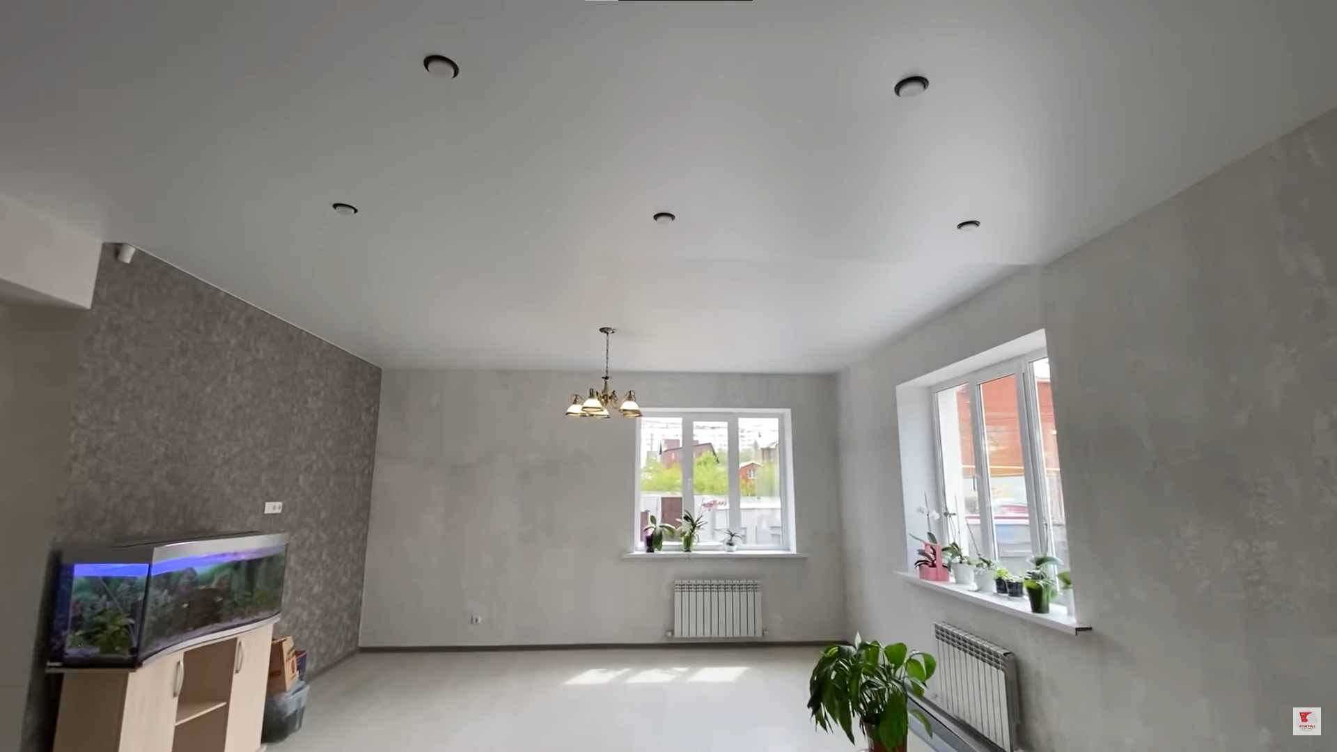 Морозостойкие